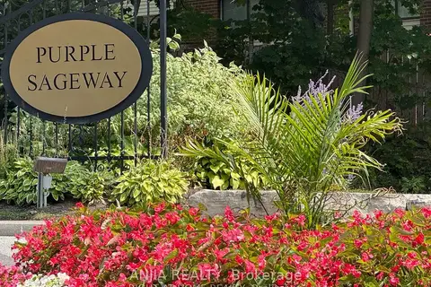 7 Purple Sageway