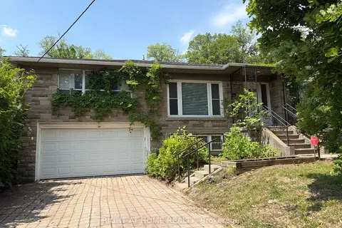 36 Forest Wood