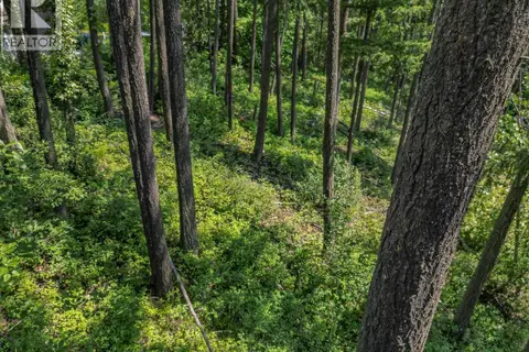 Lot 25 Forest View Place