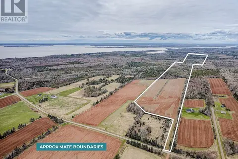 ACREAGE PRIMROSE Road