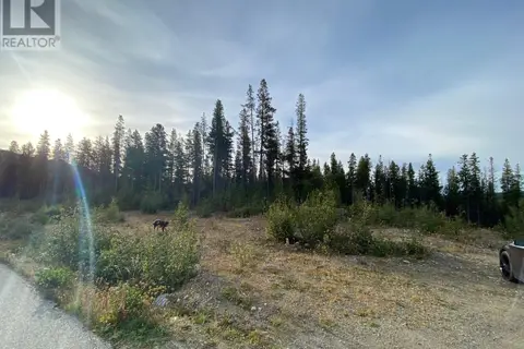 19 Buck Road