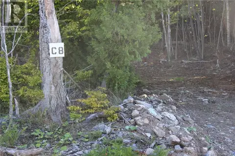 00 Shoreline Drive