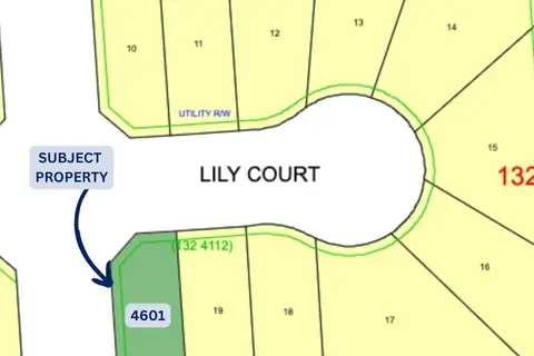 4601 LILY CO