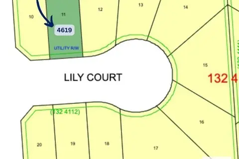 4619 LILY CO