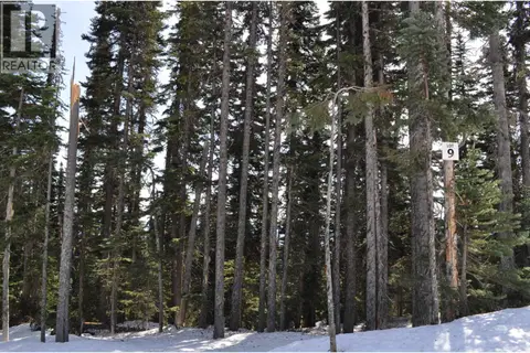 PST LOT-9 ALPINE WAY