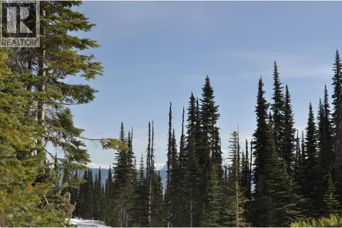 PT. ST LT 7 ALPINE WAY