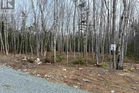 Lot 3 Larry Seldon Lane