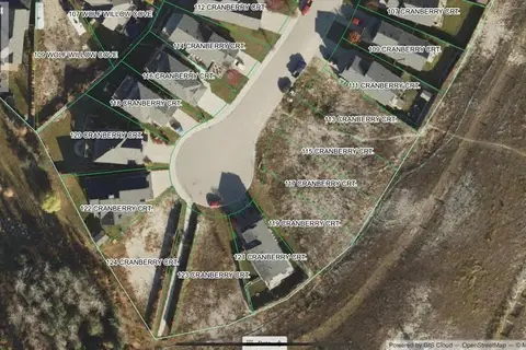 115 CRANBERRY Court