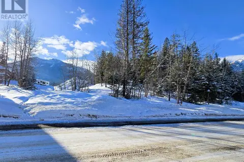 53 CARIBOO Drive