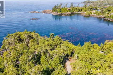 392 Reef Point Rd