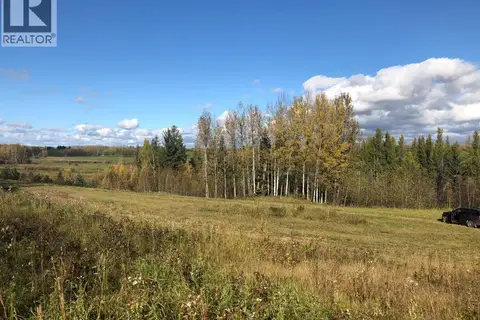 111, 16326 Twp Rd 675