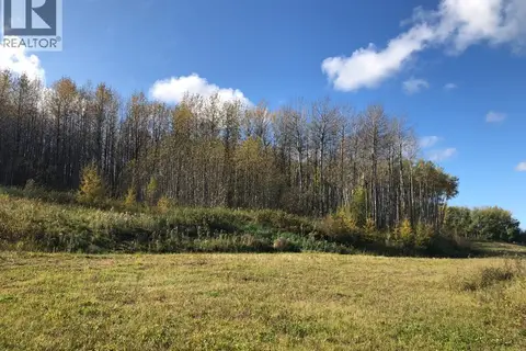 115, 16326 Twp Rd 675