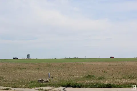 1 Whitetail BA