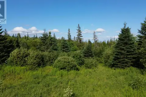 Black River Road