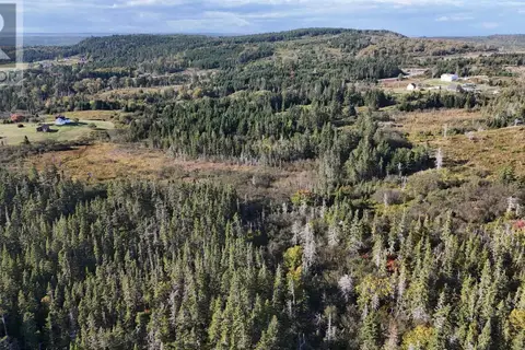 Lynches River Road