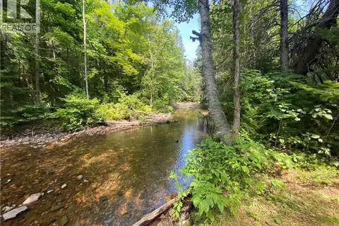 Land Archibald Road