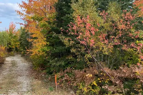L1C1 54R-6371 CATHARINE ROAD