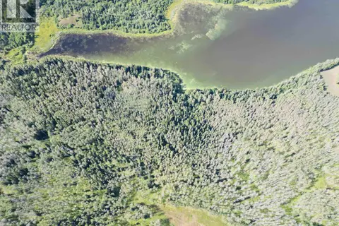 DL 941 SHAEFFER LAKE
