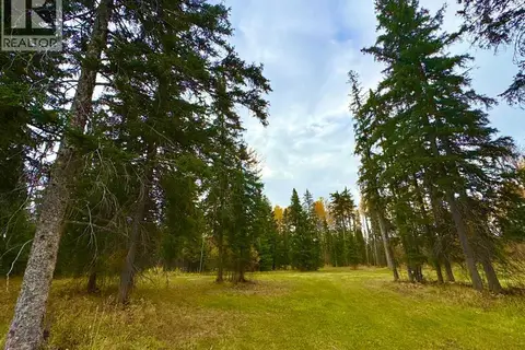 201 High Timber Place
