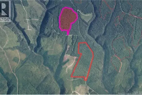 NA Woods Road