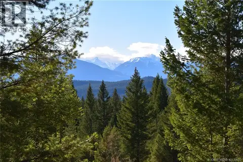 7041 WHITE TAIL Lane Lot# 23