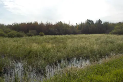 MLS® 43690297