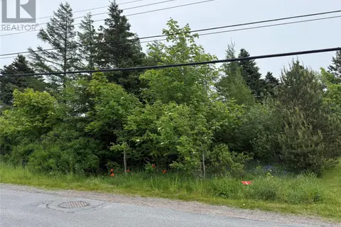49 Back Road