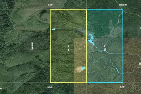 2411-2418 MOLDOWAN FOREST SERVICE ROAD