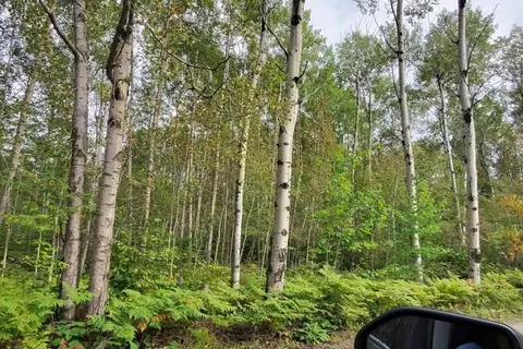 PART 13 GIRL GUIDE ROAD