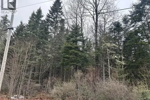 Lot 26-4 Backland