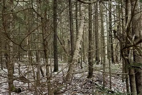 Lot 26-3 Backland Road