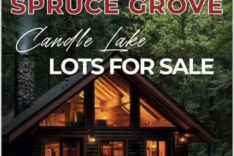 2 Black Spruce DRIVE