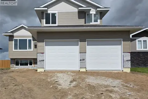 719 Doghide DRIVE