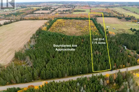 Lot 22-4 Trout River Road