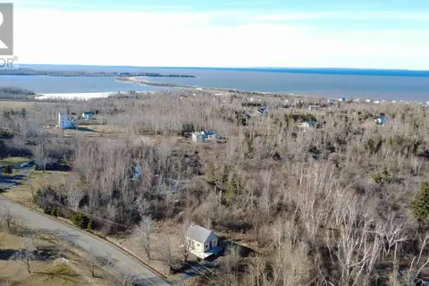 81 Levi White Road