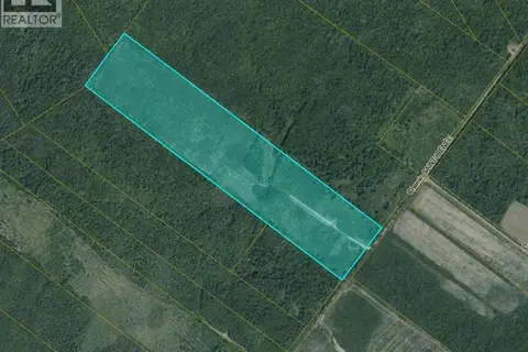 00 Woodlot Chemin Saint-Irenee