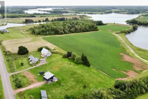 Trout River Road