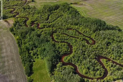 Collinson Land