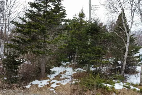 530 Seal Cove Road