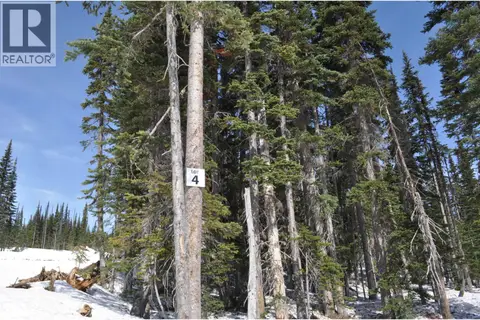 PT. ST 4 ALPINE WAY
