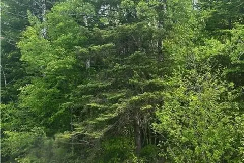 444 Bradley Lake Road