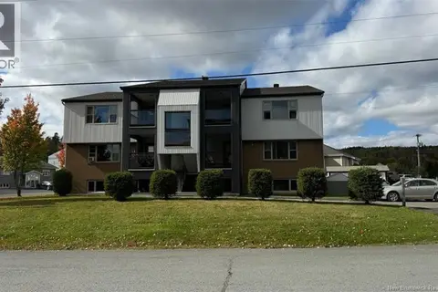 17 Carrier Street