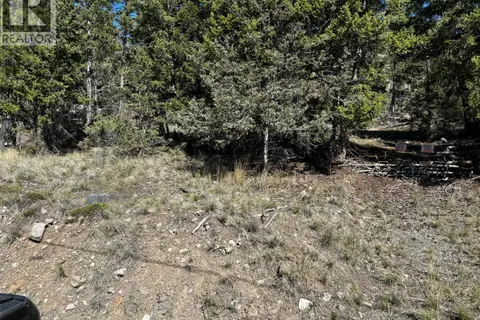 2971 Loon Lake Road