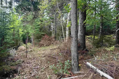 24-2 Forest Drive Extension