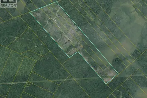 South Napan - 4 Interior Woodlot Parcels