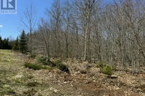 Lot R-10 Kill Dog Cove Road