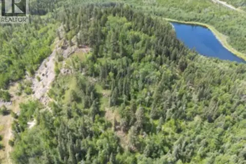 LOT 1 LILY LAKE ROAD