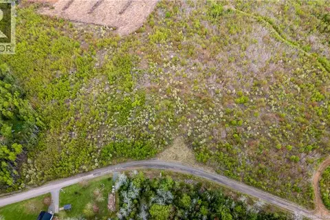 LOT 38 Davidson Road