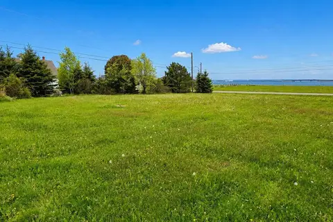 Lot Brandy Lane