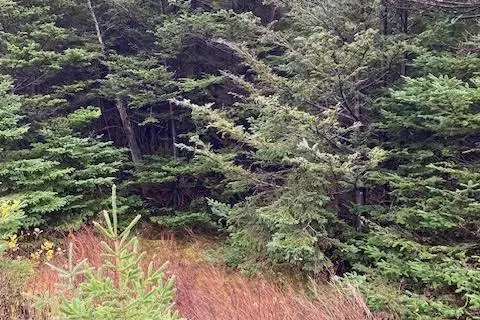 94-96 Highway East